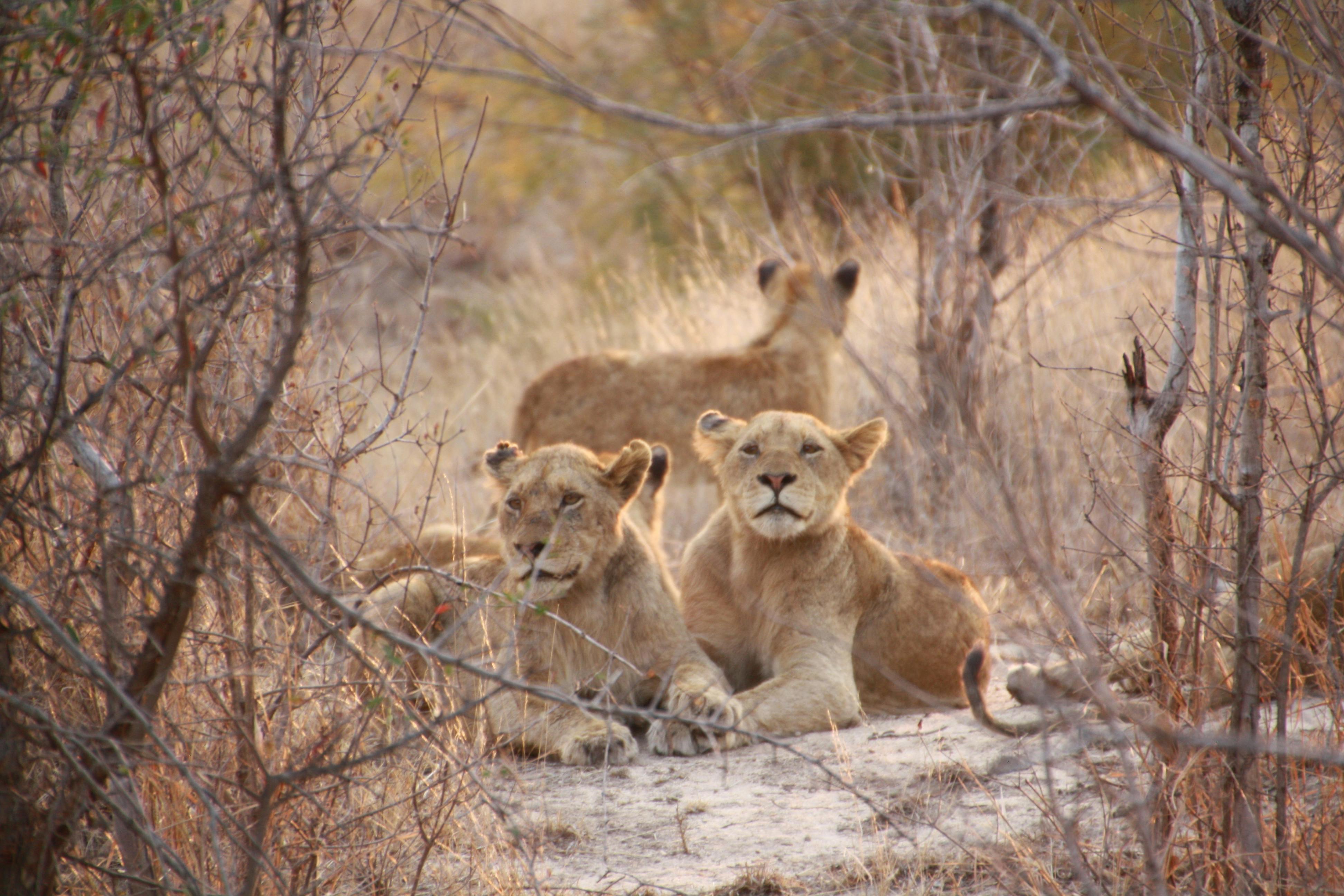 Serengeti National Park
