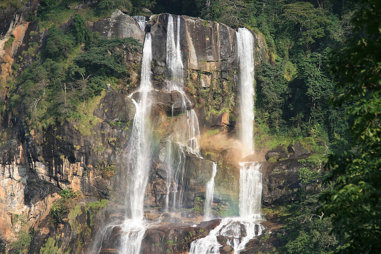 Udzungwa Mountains Np