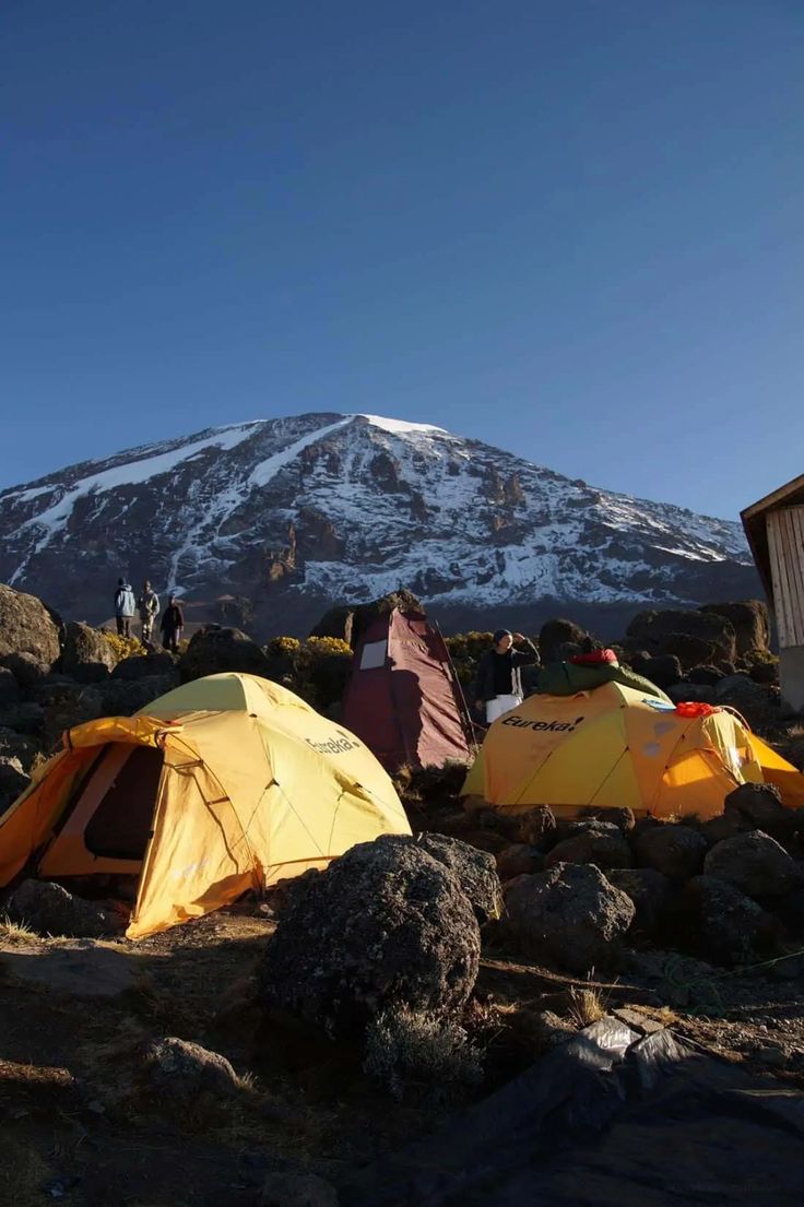 8-Day Mount Kilimanjaro Trekking Itinerary (Londorosi Route – Western Approach)